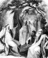 druid council